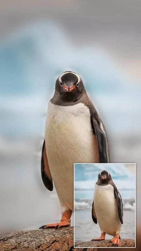 DSLR Photo effect скриншот 3