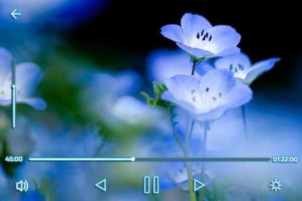 Max Video Player screenshot 2