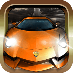 ikon Ultimate Rally racer 3D