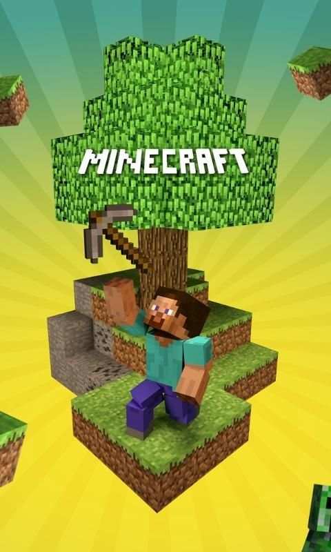 Minecraft Video скриншот 3