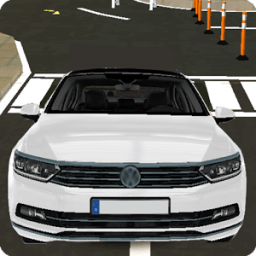 ikon Passat B8 Driving Simulator