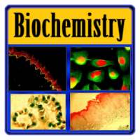 Basic Biochemistry