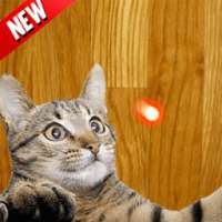 Super Laser Point for Cat 2017