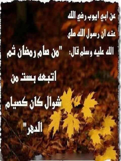 نصائح رمضانية 2017 screenshot 2