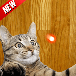 ikon Super Laser Point for Cat 2017