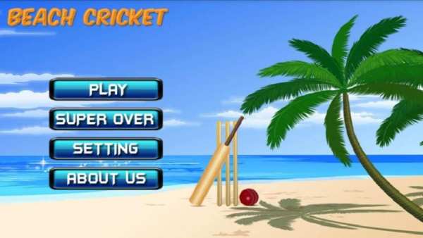 Beach Cricket 2016! screenshot 10