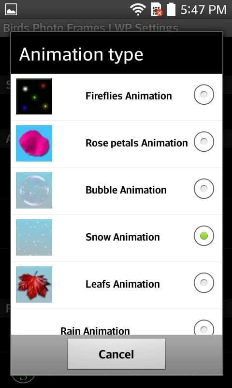 Birds Photo Frames LWP screenshot 4