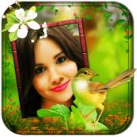 Birds Photo Frames LWP