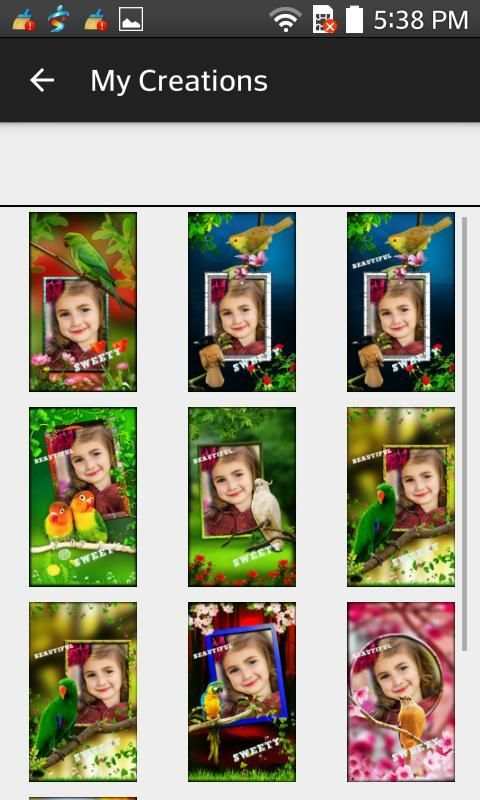 Birds Photo Frames LWP स्क्रीनशॉट 6