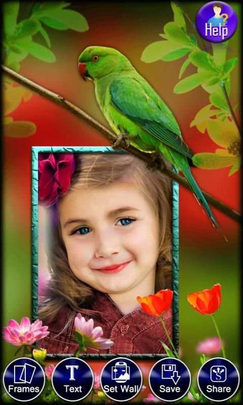 Birds Photo Frames LWP screenshot 10