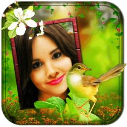 Birds Photo Frames LWP 2.0.1