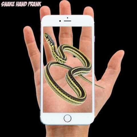 Snake Hand Funny Prank 3 تصوير الشاشة