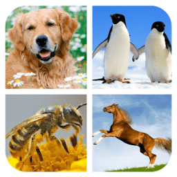 Animal Sounds - Ringtones आइकन