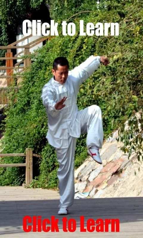Kung Fu Learning -Training App 5 تصوير الشاشة