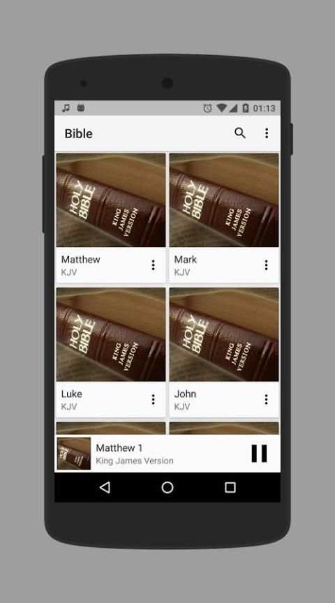 Bible Audio screenshot 8