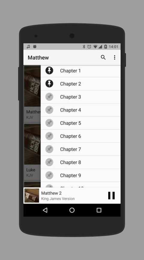 Bible Audio screenshot 5