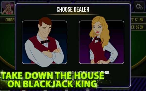 Blackjack King screenshot 4