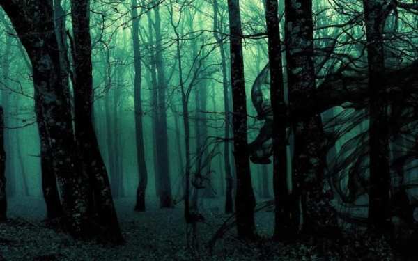 Twilight Live Wallpaper screenshot 1