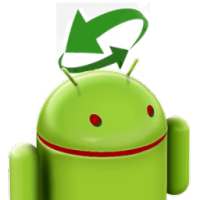 Screen Rotation Switch