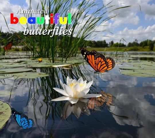 3D Butterfly Live Wallpaper скриншот 1