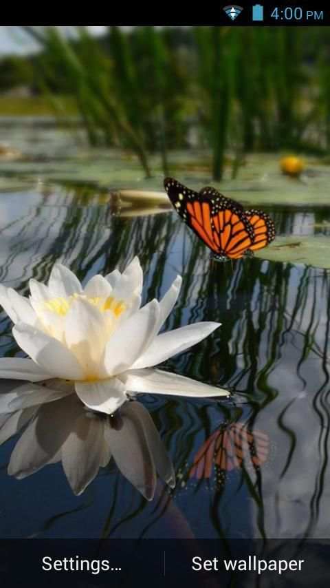 3D Butterfly Live Wallpaper скриншот 3