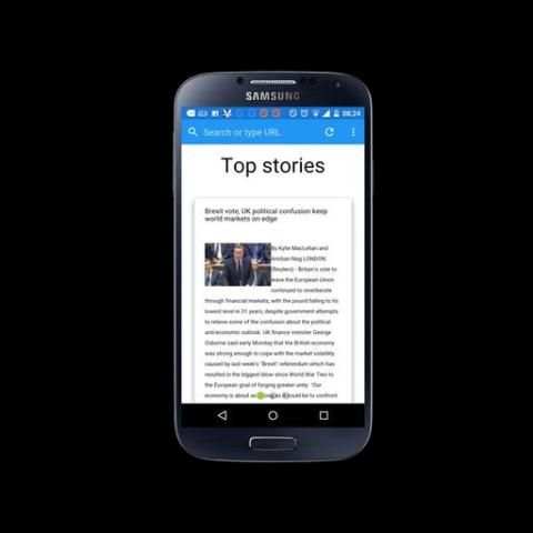 Magneto browser screenshot 1