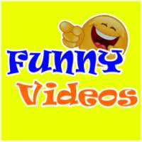 Funny Videos