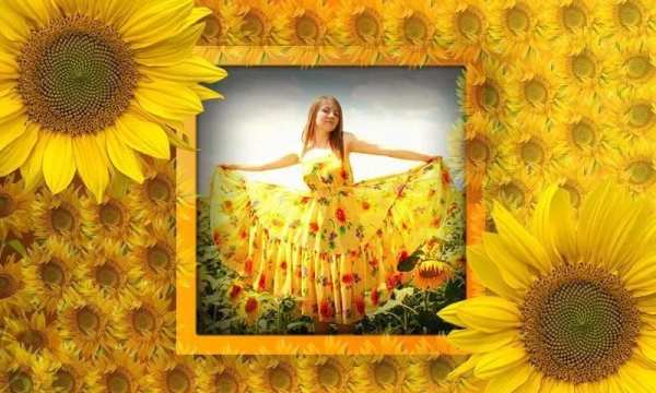 Sunflower Photo frames स्क्रीनशॉट 4