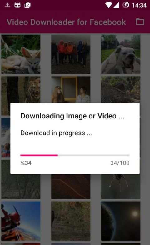 Video Downloader for Facebook screenshot 1