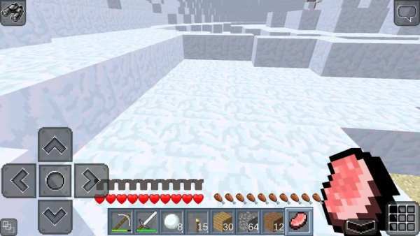 MultiCraft 2 screenshot 3