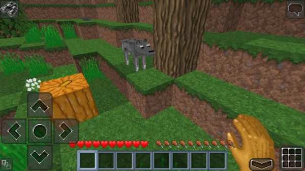 MultiCraft 2 screenshot 13