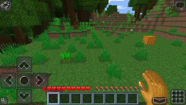 MultiCraft 2 स्क्रीनशॉट 16