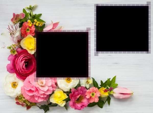 Flower Photo Frames скриншот 11