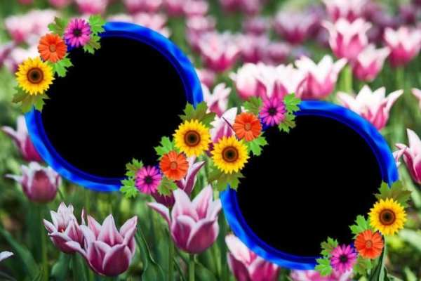 Flower Photo Frames скриншот 12