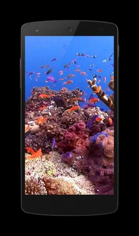 Fish 4K Video Wallpaper स्क्रीनशॉट 7