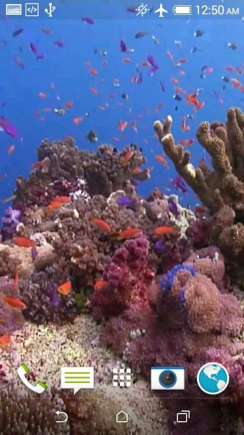 Fish 4K Video Wallpaper स्क्रीनशॉट 2