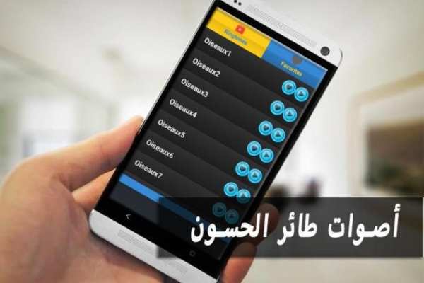 أصوات طائر الحسون screenshot 2