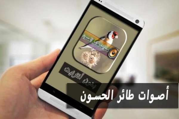 أصوات طائر الحسون screenshot 3