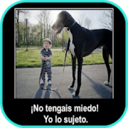 Imágenes Graciosas para Whatsapp Gratis icon