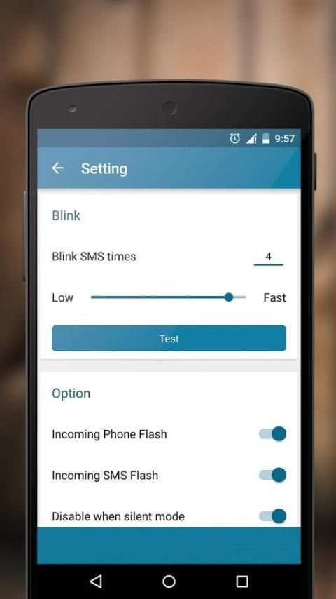 RINGING FLASHLIGHT screenshot 2