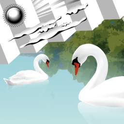 Clock Weather Widget Swans