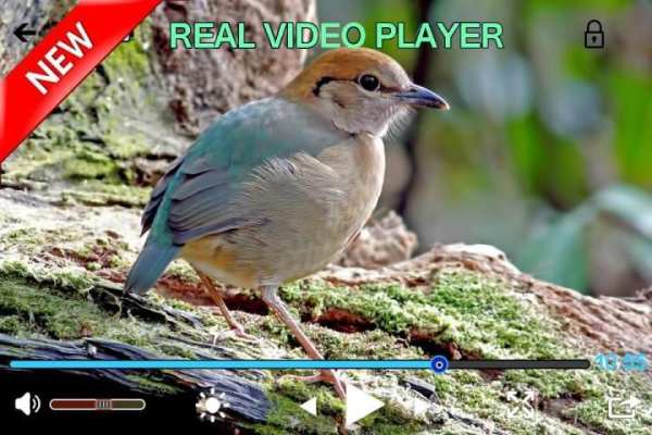 vedio real player HD screenshot 4