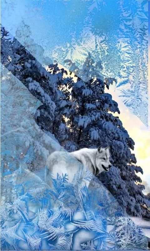 Wolves n Snow 3D LWP स्क्रीनशॉट 4