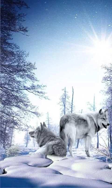Wolves n Snow 3D LWP स्क्रीनशॉट 5