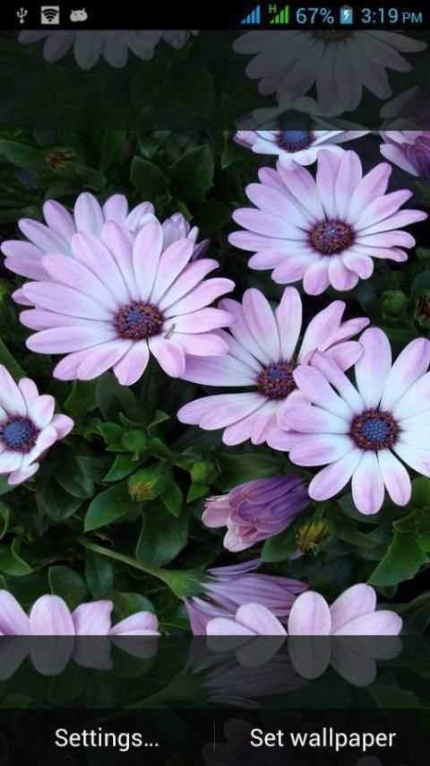 994 Flowers Live Wallpapers screenshot 1