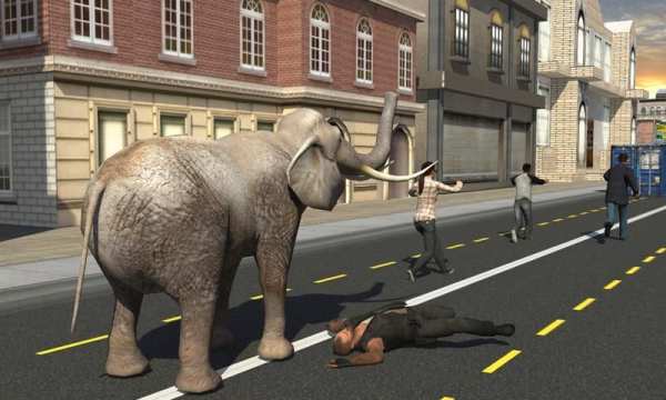 Elephant Racing Simulator 2016 स्क्रीनशॉट 14