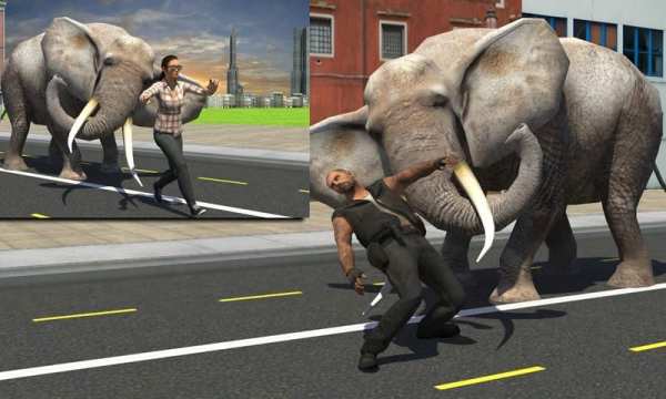 Elephant Racing Simulator 2016 स्क्रीनशॉट 13