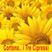 Cortona on 9Apps