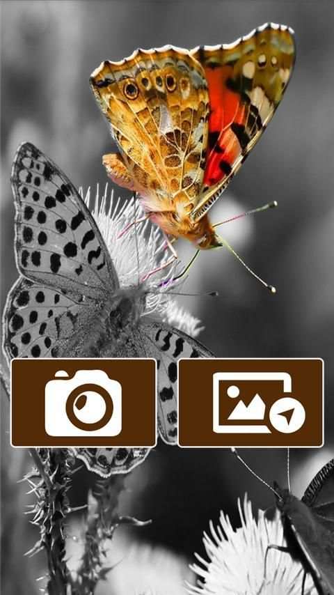 Splash Color Photo Effects Fx स्क्रीनशॉट 5