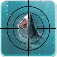 Sniper Gangs Shark